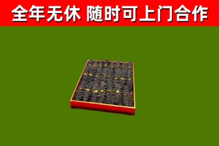武威市回收海参